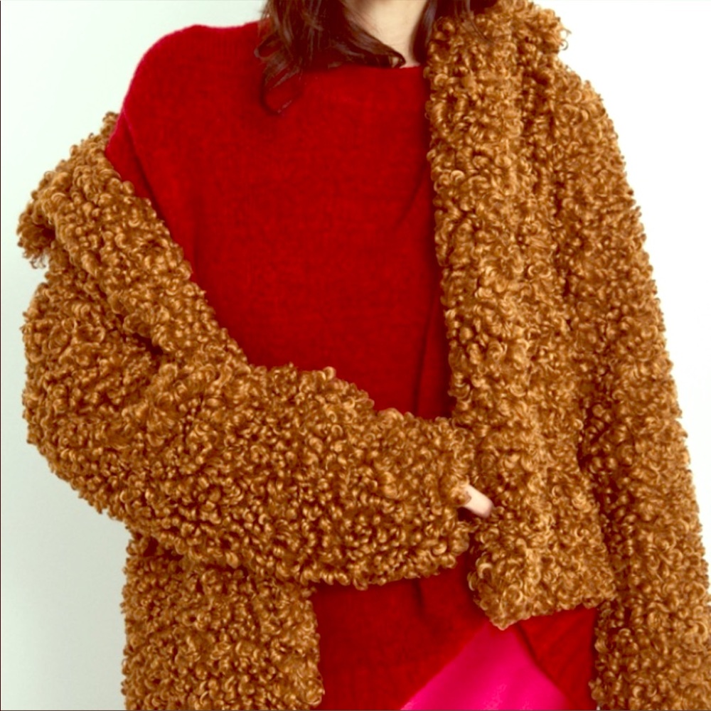 Zara Sleek Teddy Coat